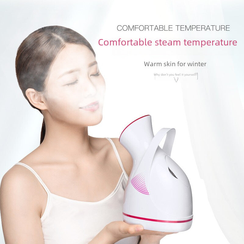 Beauty Instrument Household Hydrating Instrument Sprayer Facial Nano Steam Facial Steam Facial Thermal Spray Facial Steam